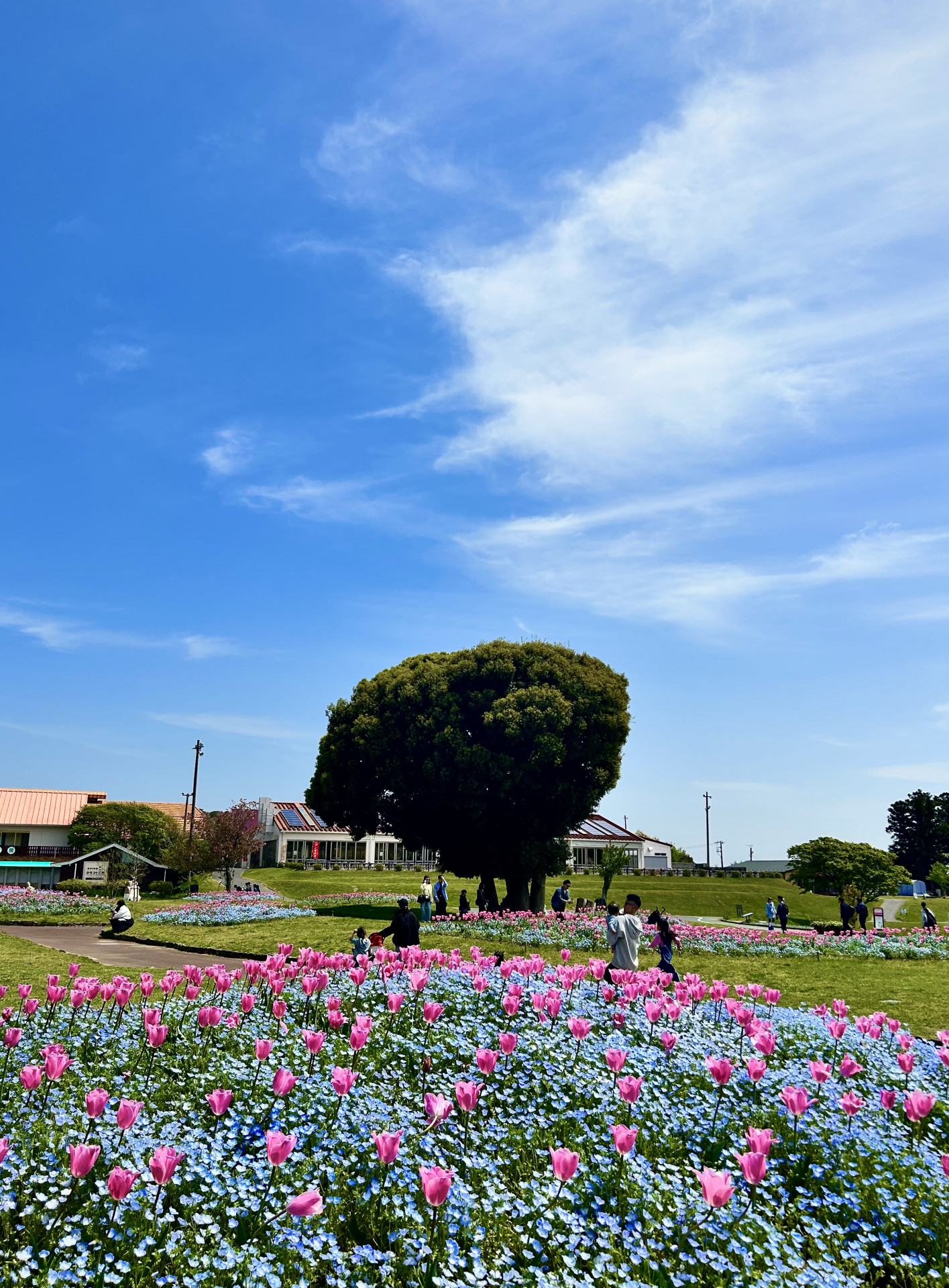 IMG_5643_調布北_1528は_あR8 _